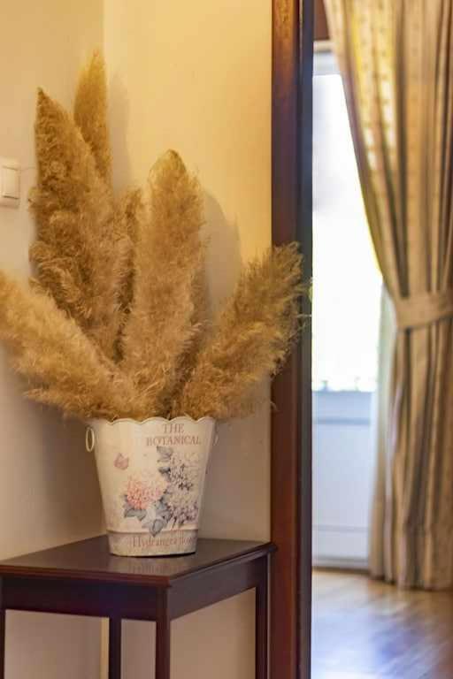 Villa Quintinha De Sabadim - 500 Metros Da Ecovia De Sistelo Arcos de Valdevez Esterno foto